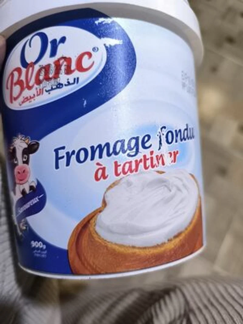 fromage fondu à tartiner